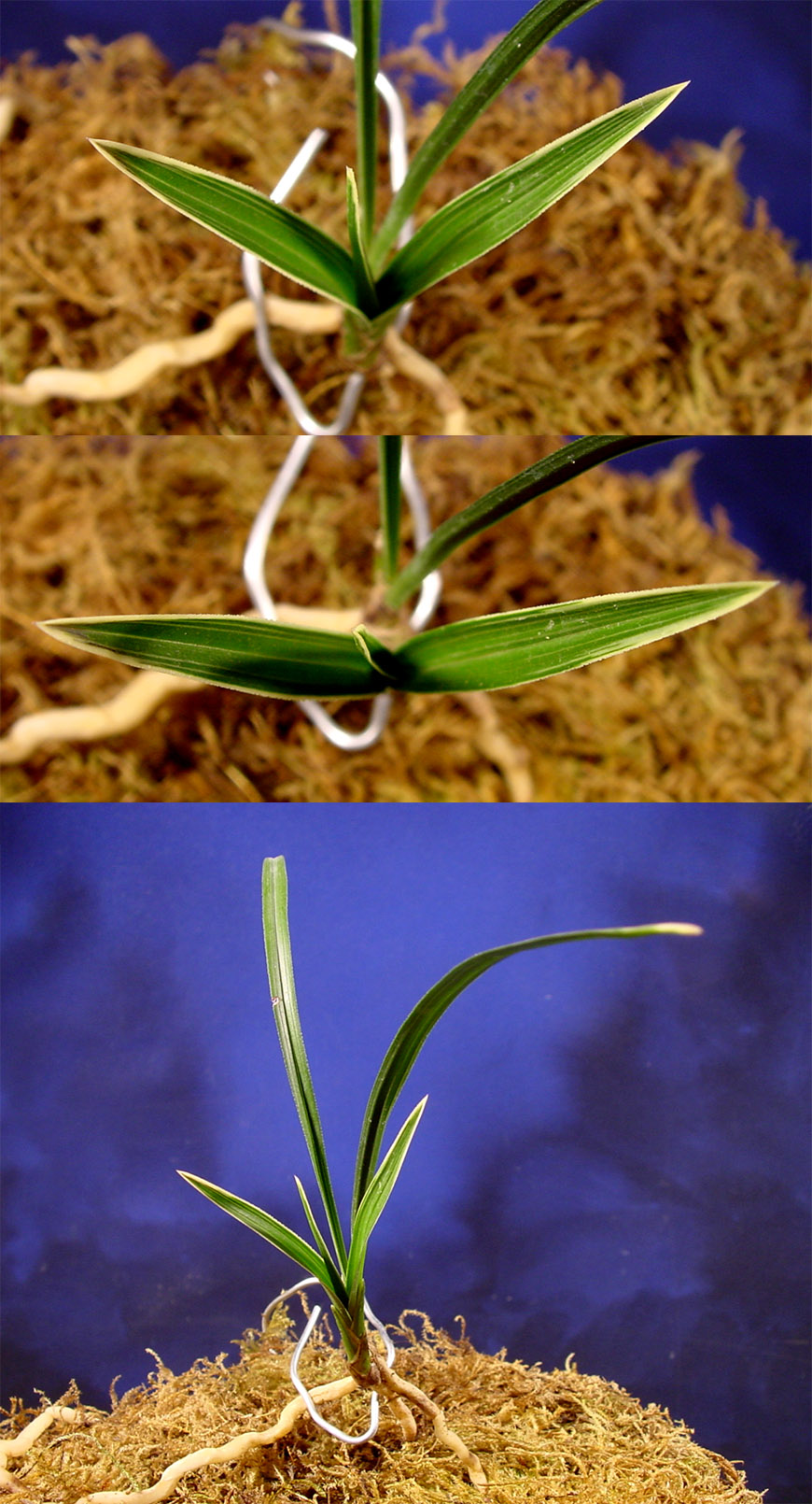 ������ ū������ �� �� �ֽ��ϴ�.