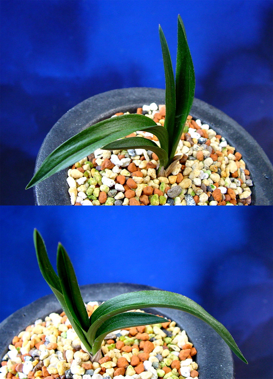 ������ ū������ �� �� �ֽ��ϴ�.