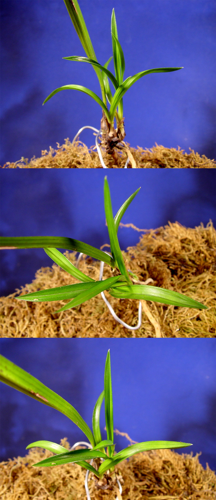 ������ ū������ �� �� �ֽ��ϴ�.