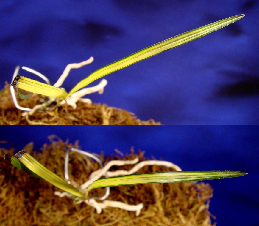 ������ ū������ �� �� �ֽ��ϴ�.