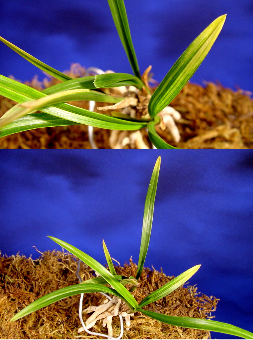 ������ ū������ �� �� �ֽ��ϴ�.