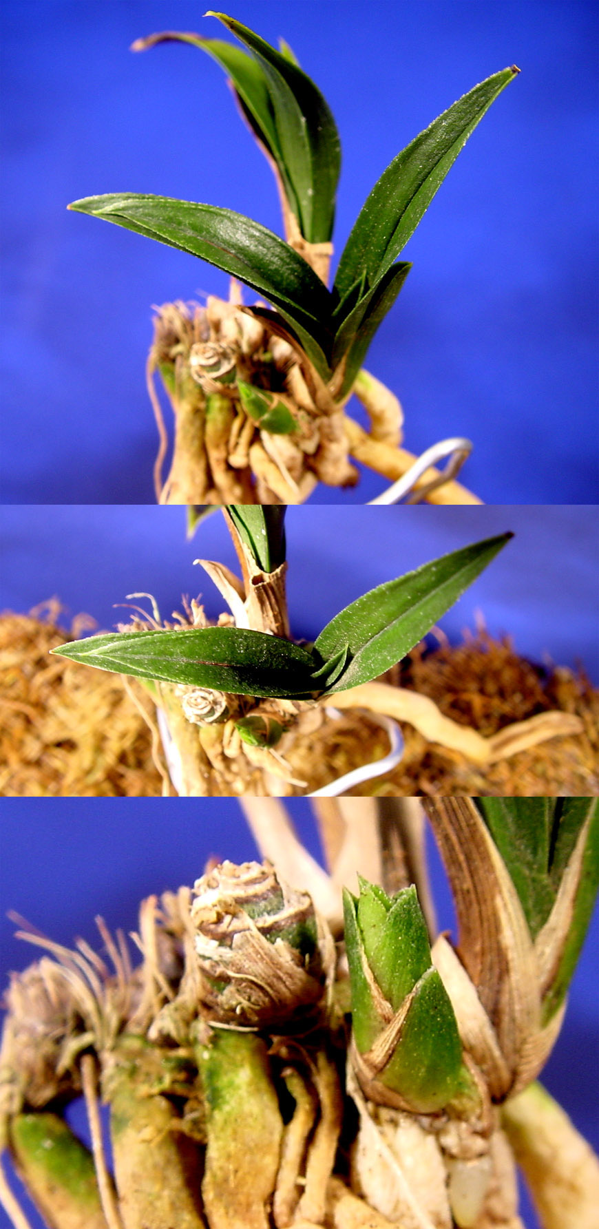 ������ ū������ �� �� �ֽ��ϴ�.