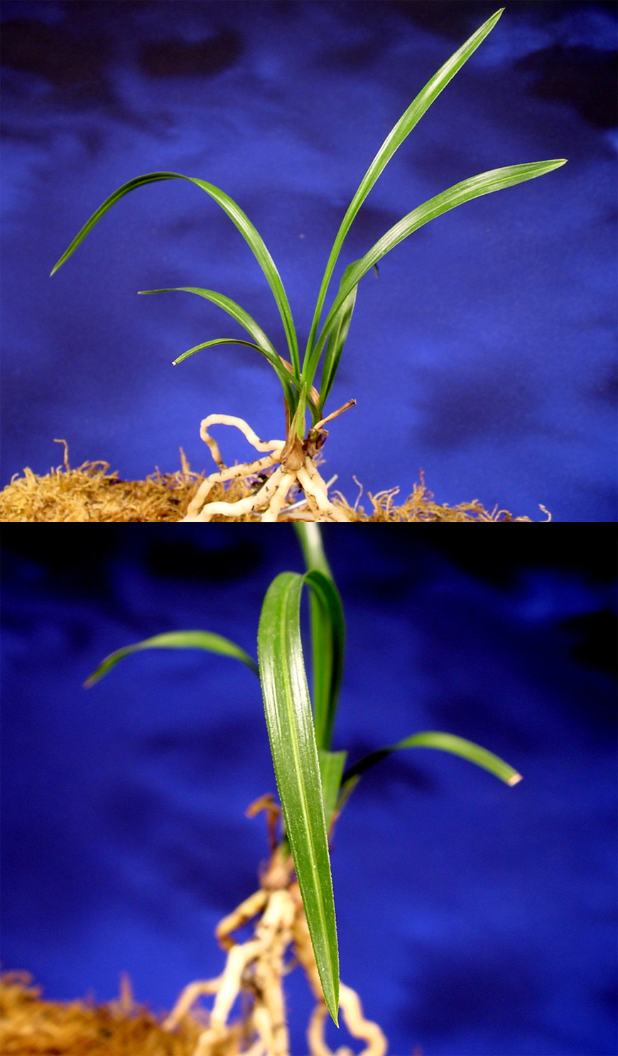 ������ ū������ �� �� �ֽ��ϴ�.