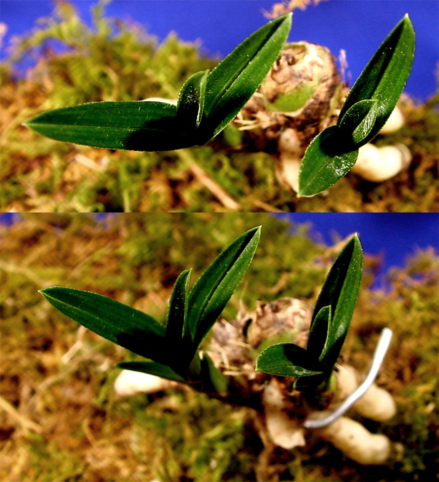 ������ ū������ �� �� �ֽ��ϴ�.