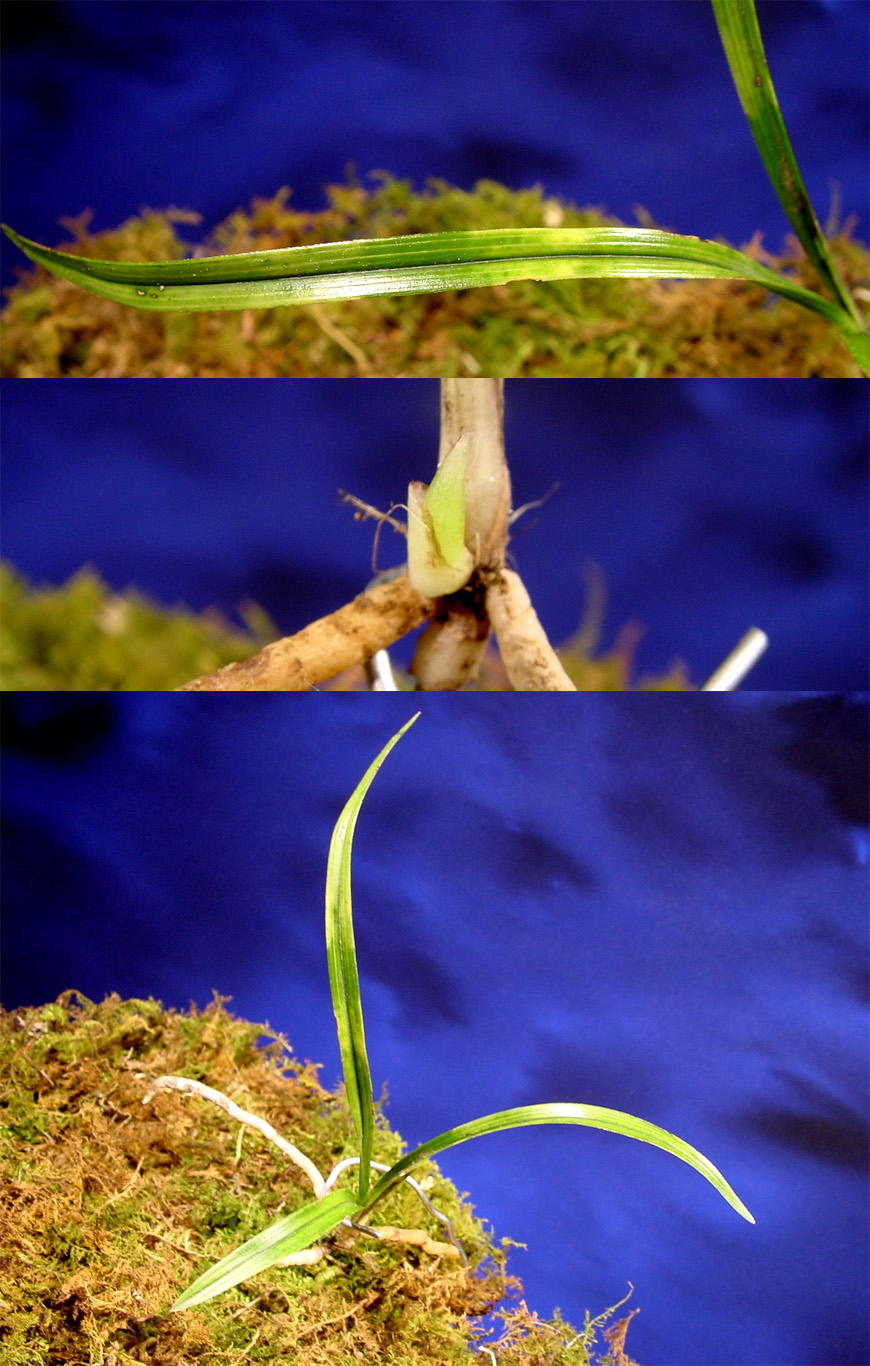 ������ ū������ �� �� �ֽ��ϴ�.