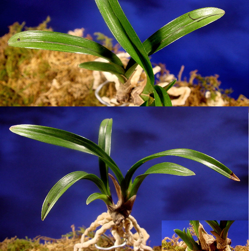 ������ ū������ �� �� �ֽ��ϴ�.