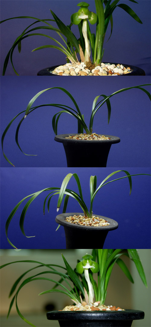 ������ ū������ �� �� �ֽ��ϴ�.