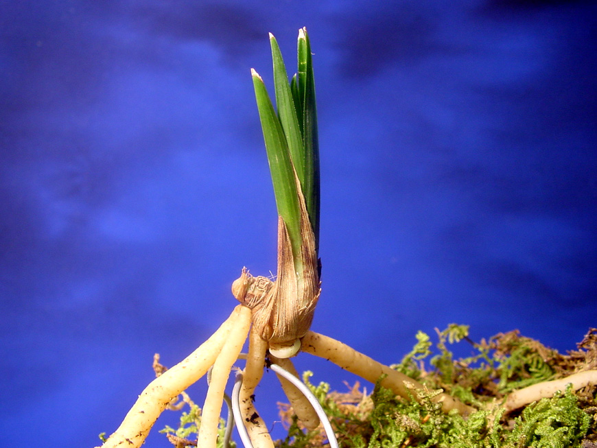 ������ ū������ �� �� �ֽ��ϴ�.