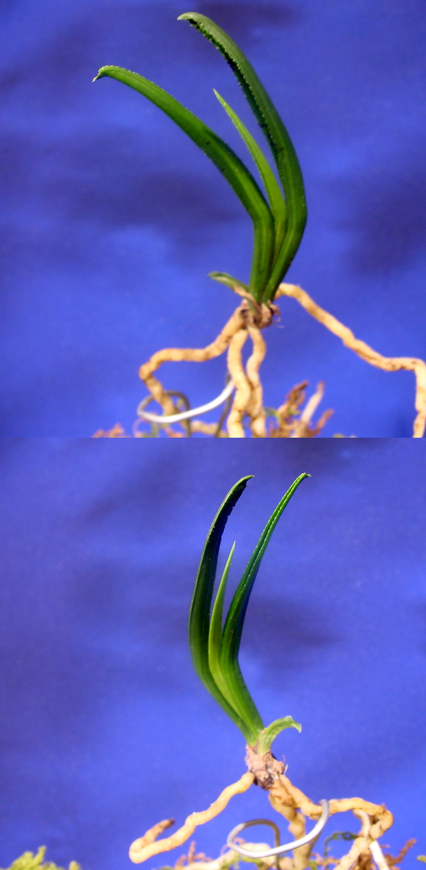 ������ ū������ �� �� �ֽ��ϴ�.