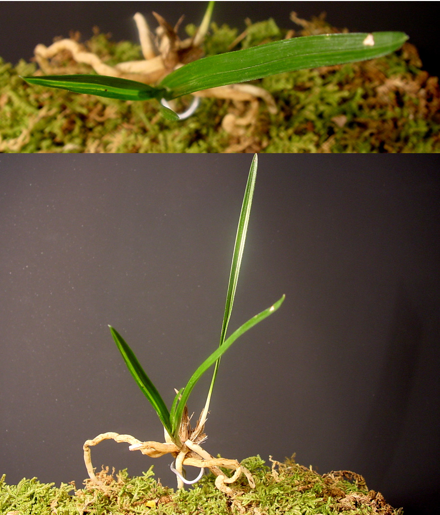 ������ ū������ �� �� �ֽ��ϴ�.