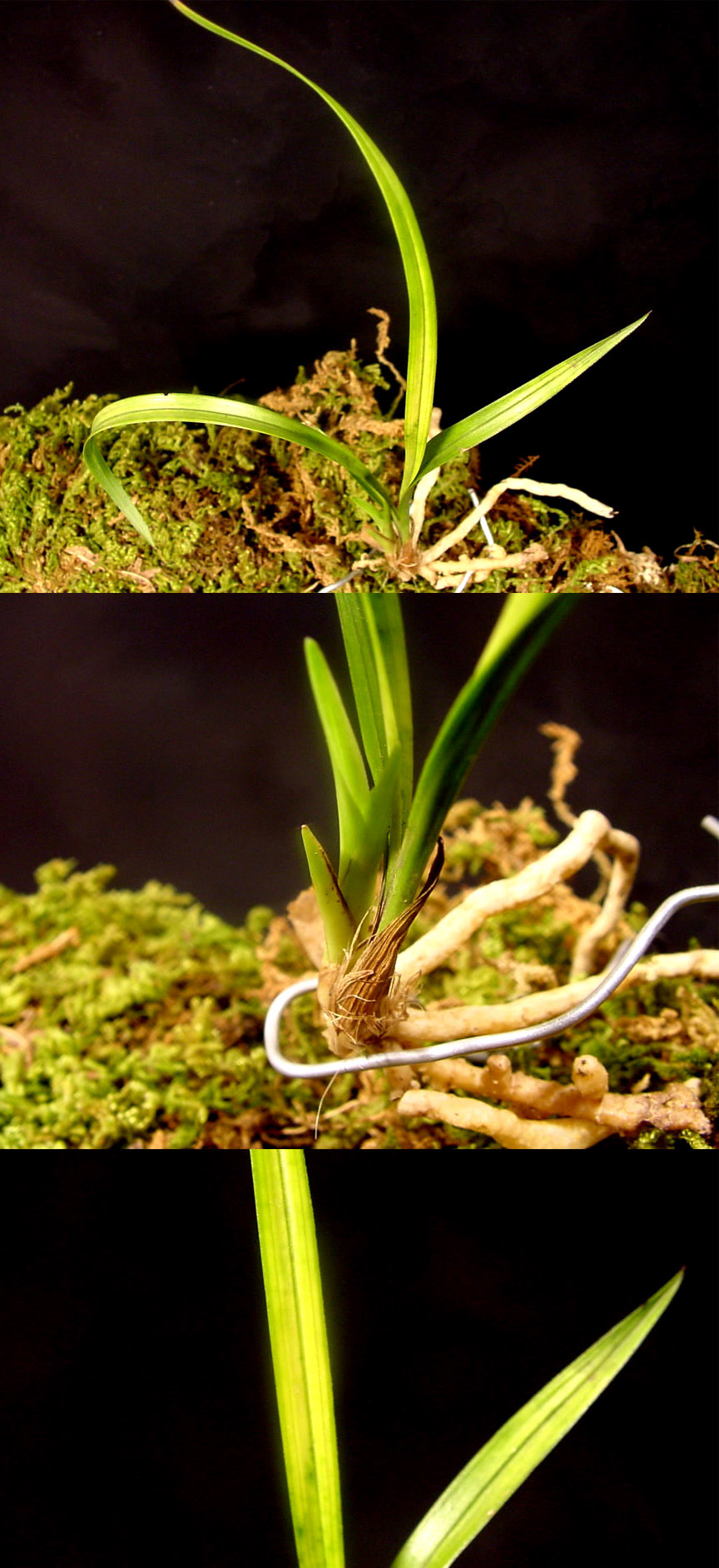 ������ ū������ �� �� �ֽ��ϴ�.