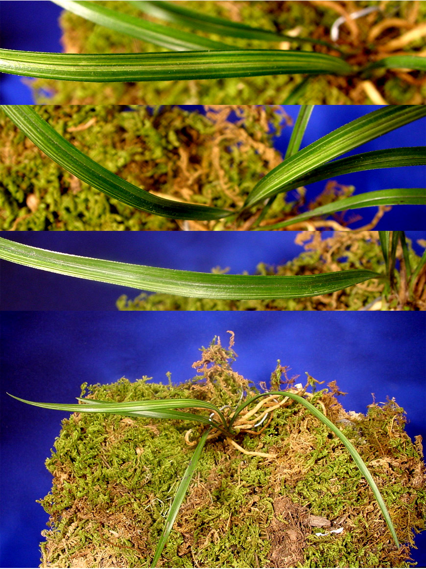 ������ ū������ �� �� �ֽ��ϴ�.