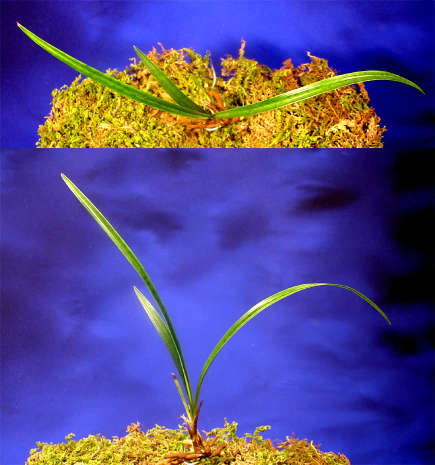 ������ ū������ �� �� �ֽ��ϴ�.