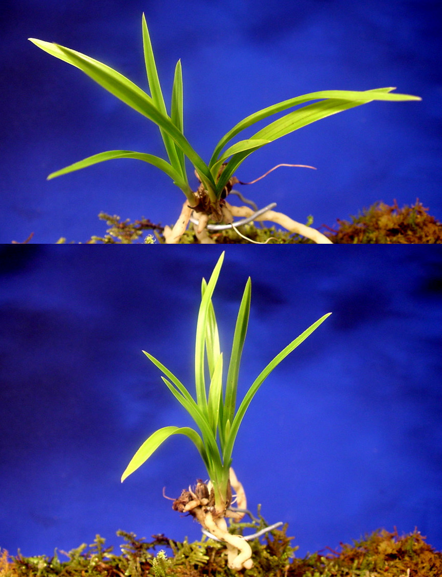 ������ ū������ �� �� �ֽ��ϴ�.