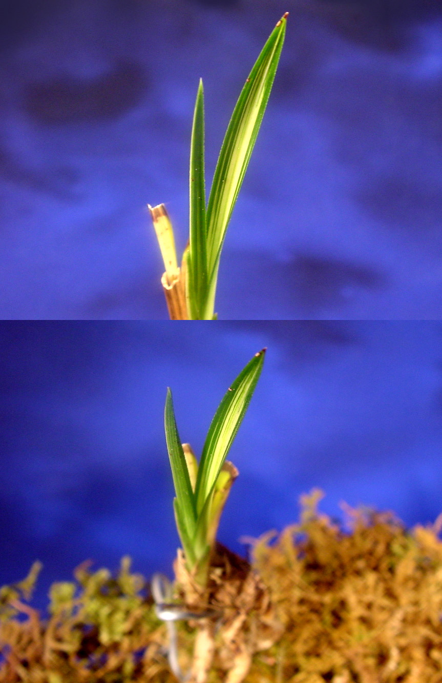 ������ ū������ �� �� �ֽ��ϴ�.