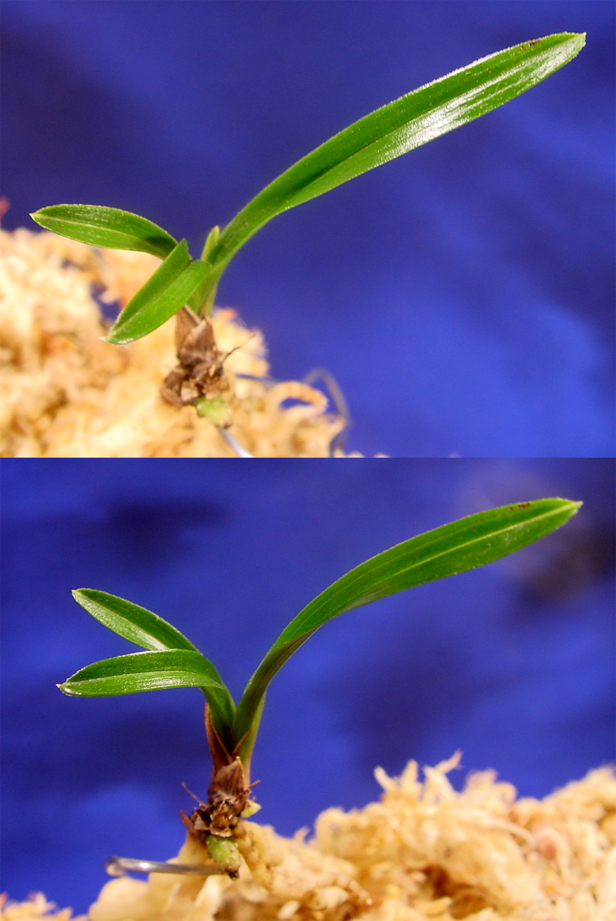 ������ ū������ �� �� �ֽ��ϴ�.