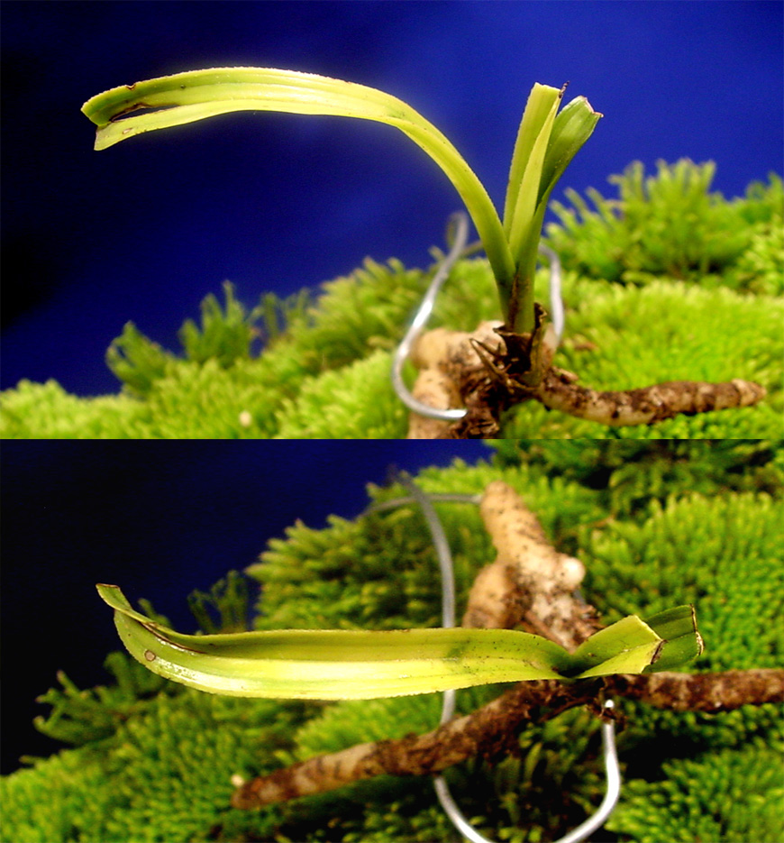 ������ ū������ �� �� �ֽ��ϴ�.