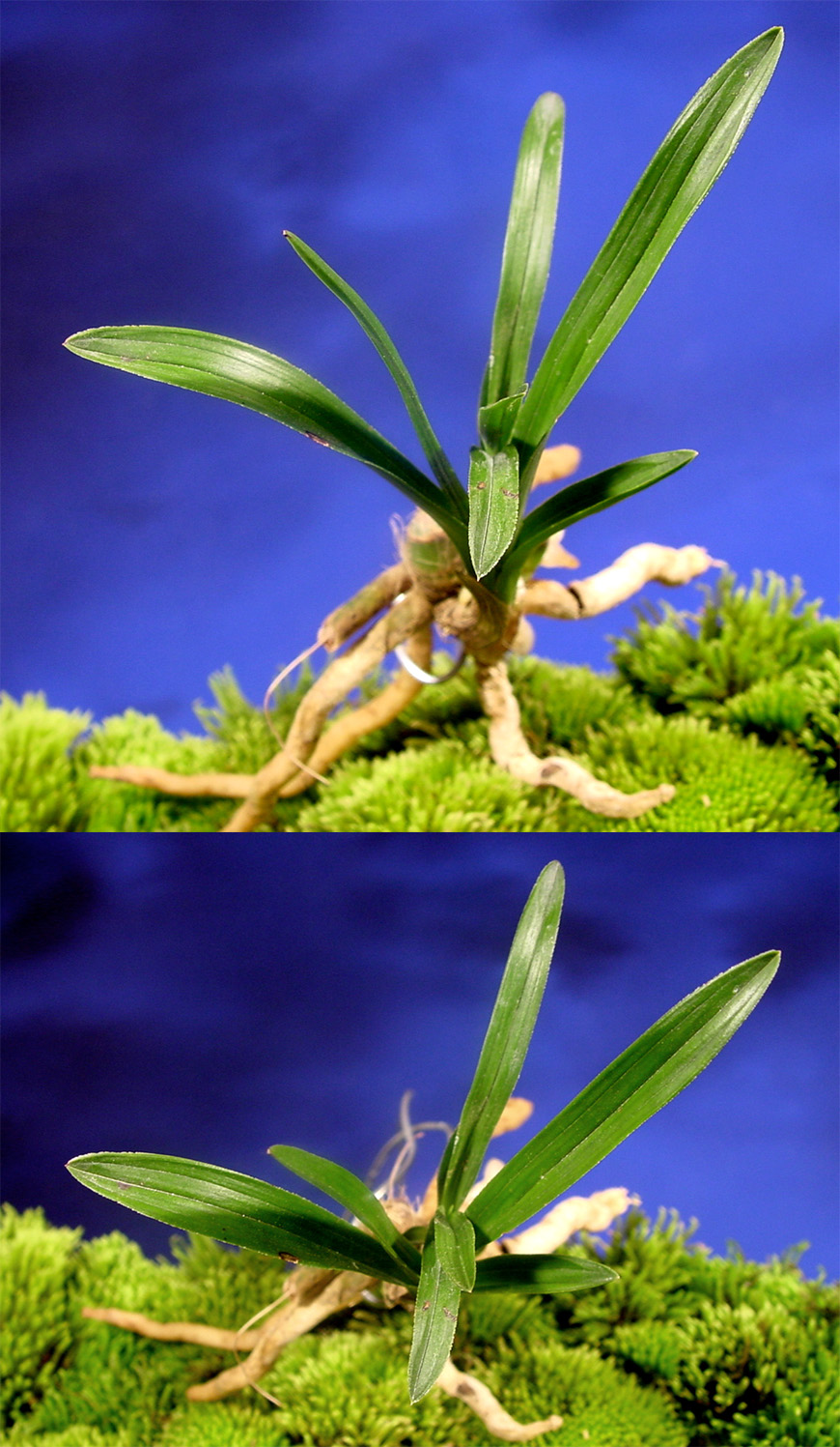 ������ ū������ �� �� �ֽ��ϴ�.