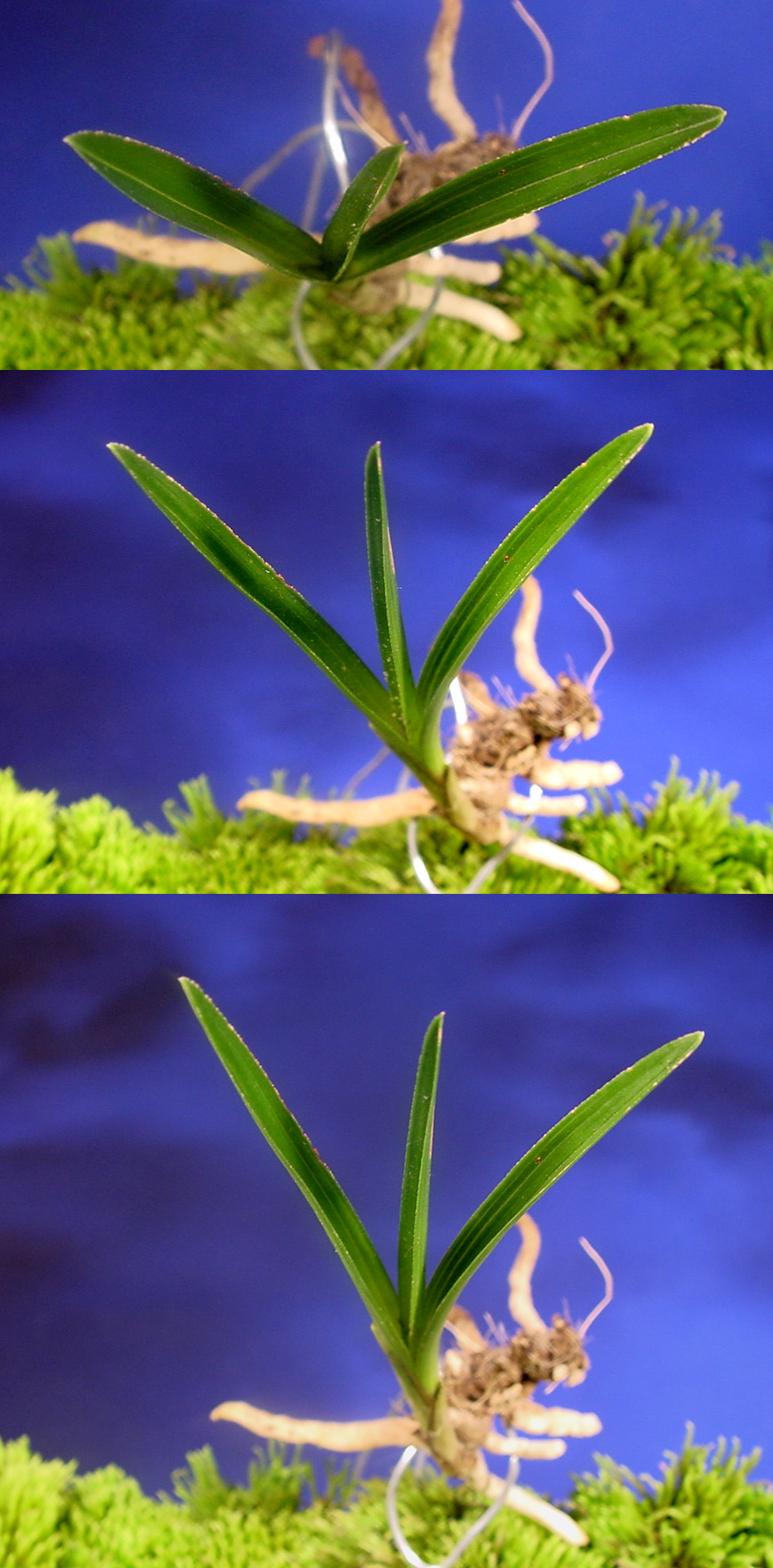 ������ ū������ �� �� �ֽ��ϴ�.