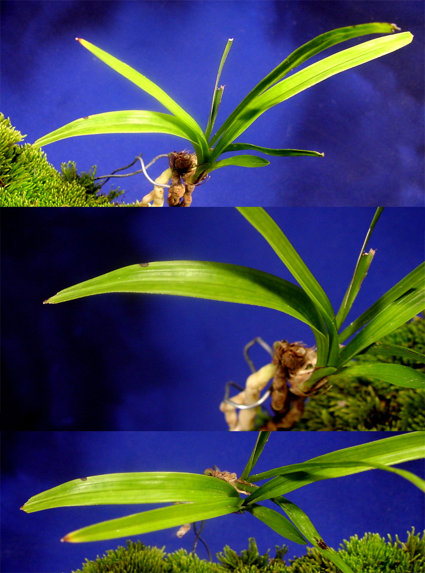 ������ ū������ �� �� �ֽ��ϴ�.