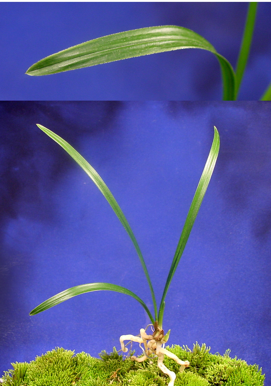 ������ ū������ �� �� �ֽ��ϴ�.