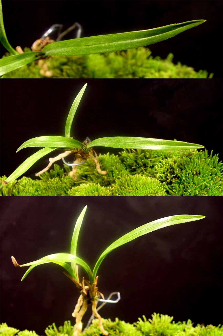 ������ ū������ �� �� �ֽ��ϴ�.