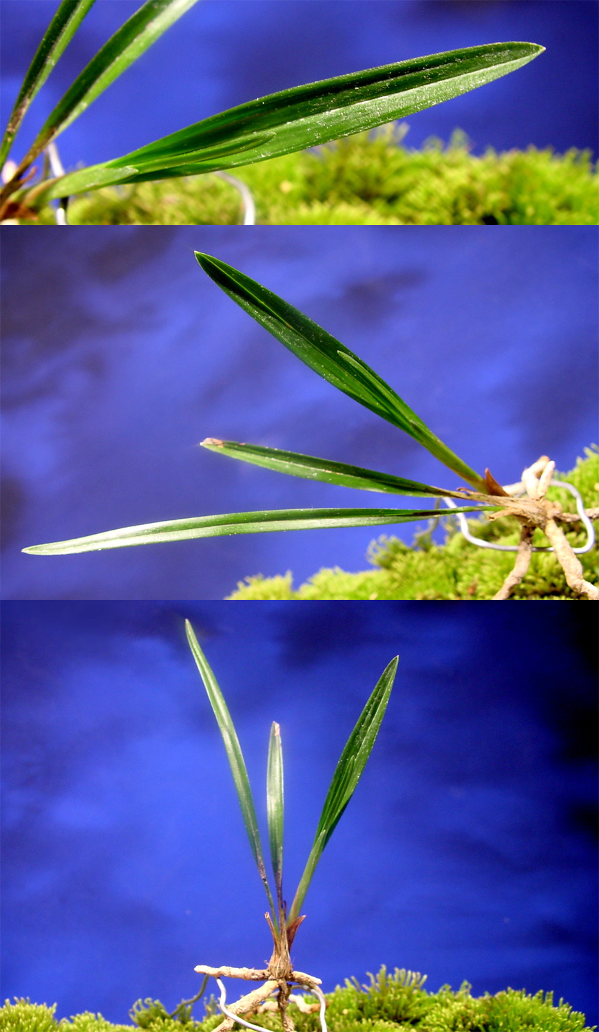 ������ ū������ �� �� �ֽ��ϴ�.