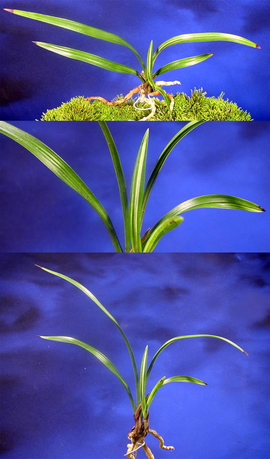 ������ ū������ �� �� �ֽ��ϴ�.