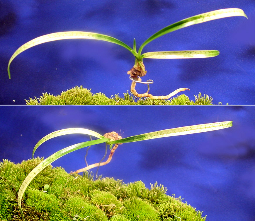 ������ ū������ �� �� �ֽ��ϴ�.