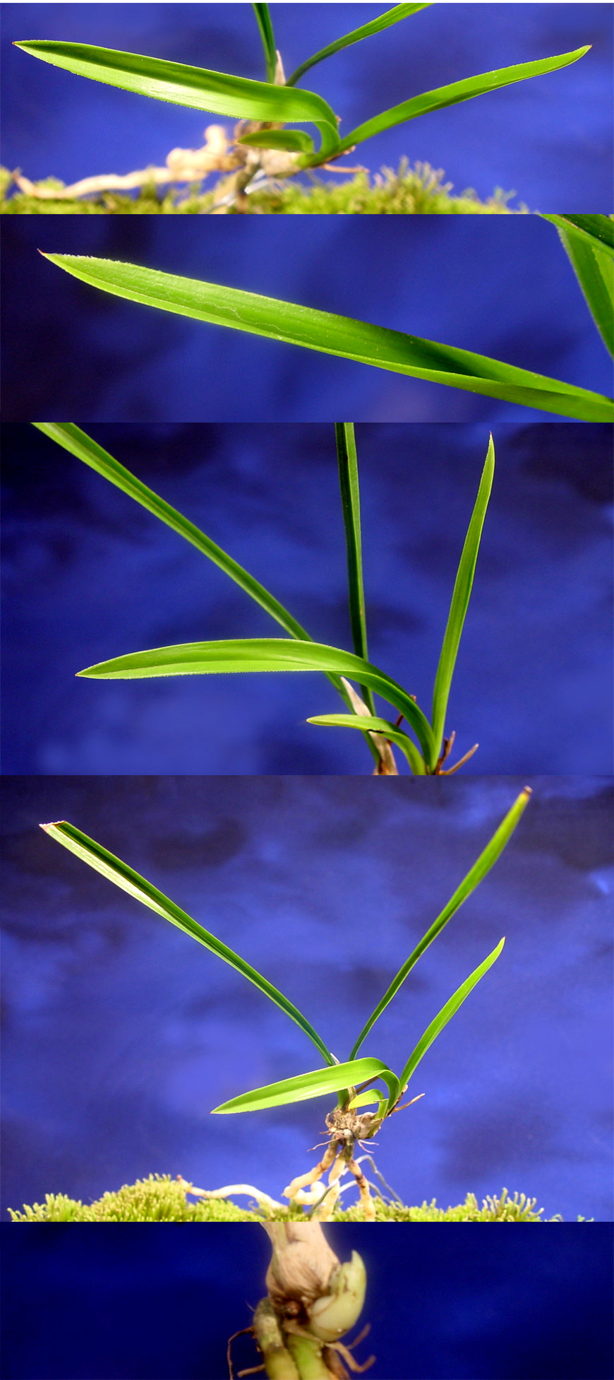 ������ ū������ �� �� �ֽ��ϴ�.