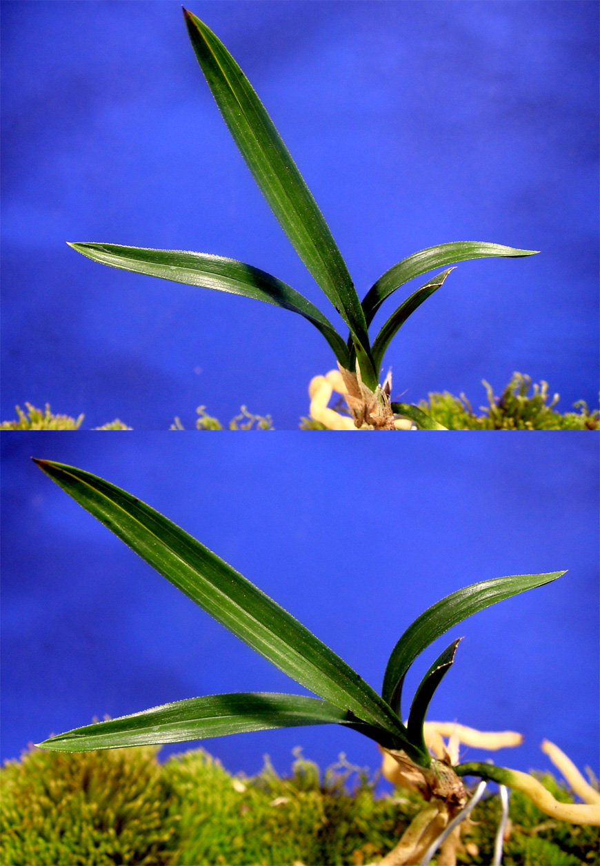 ������ ū������ �� �� �ֽ��ϴ�.