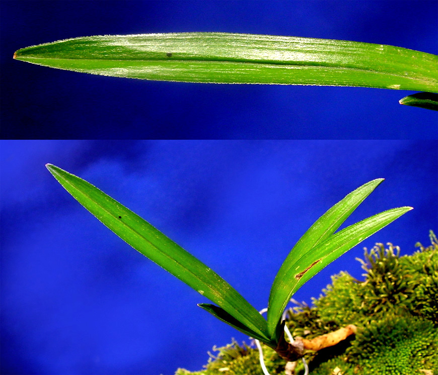 ������ ū������ �� �� �ֽ��ϴ�.