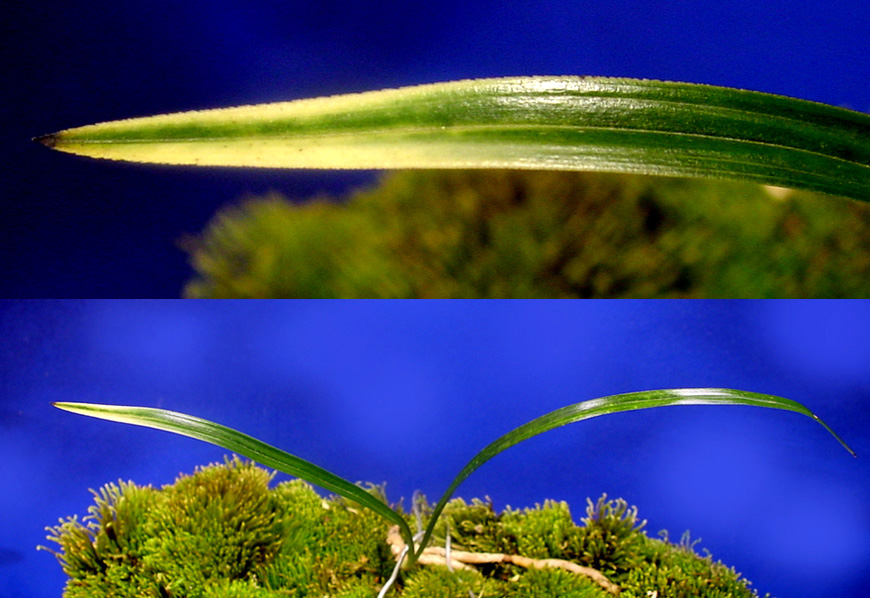 ������ ū������ �� �� �ֽ��ϴ�.