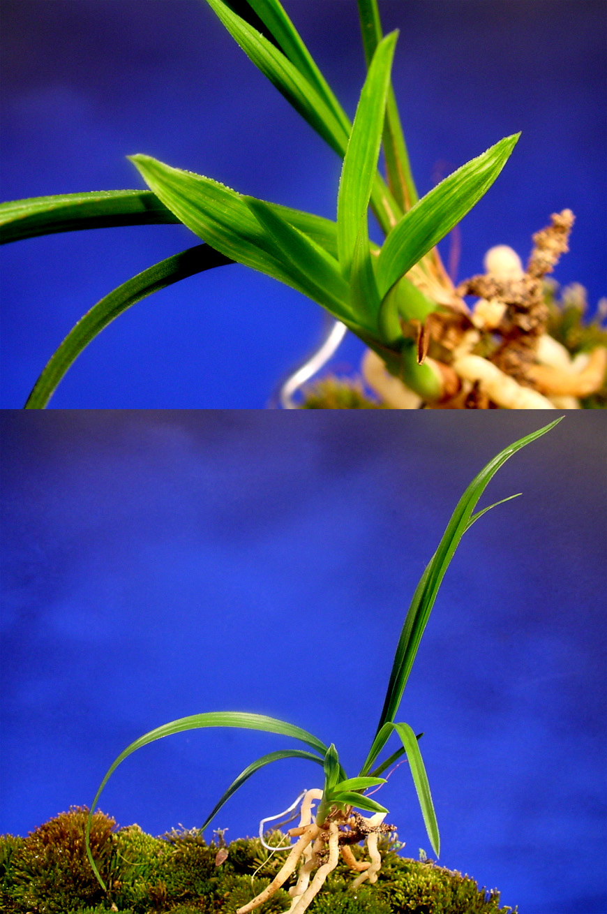 ������ ū������ �� �� �ֽ��ϴ�.