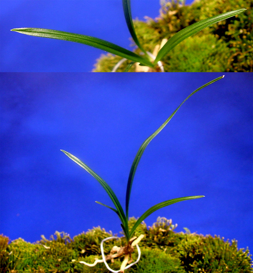 ������ ū������ �� �� �ֽ��ϴ�.