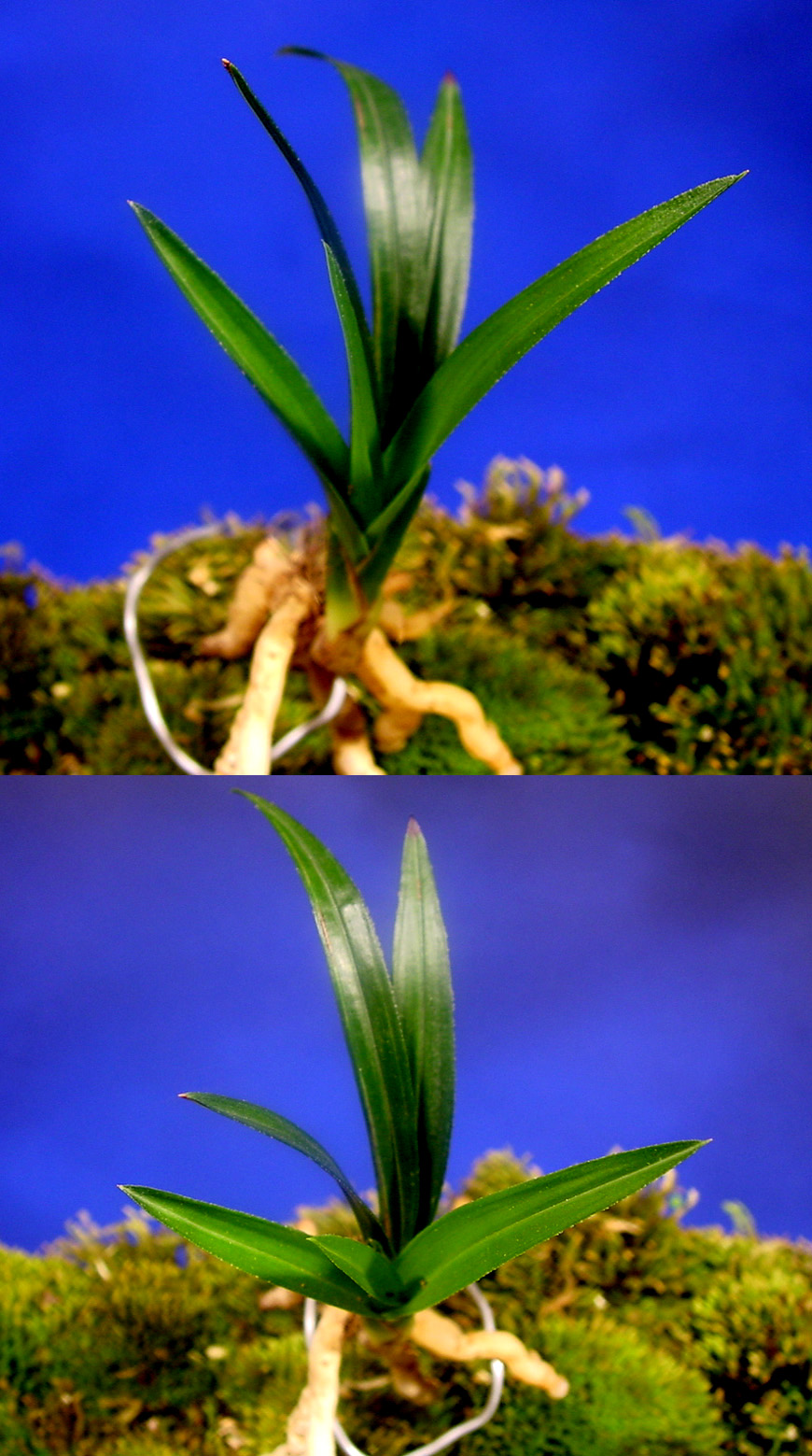 ������ ū������ �� �� �ֽ��ϴ�.