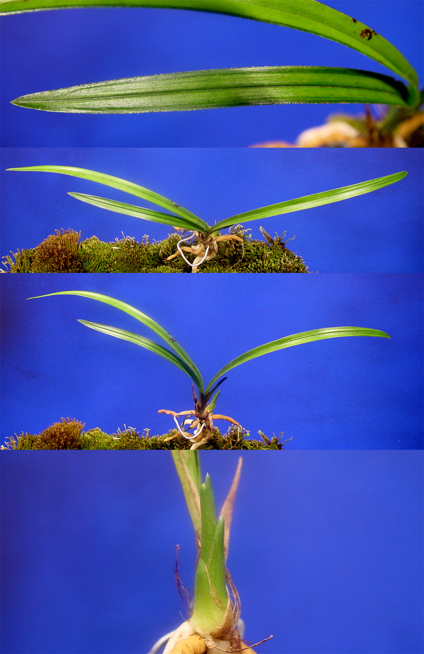 ������ ū������ �� �� �ֽ��ϴ�.