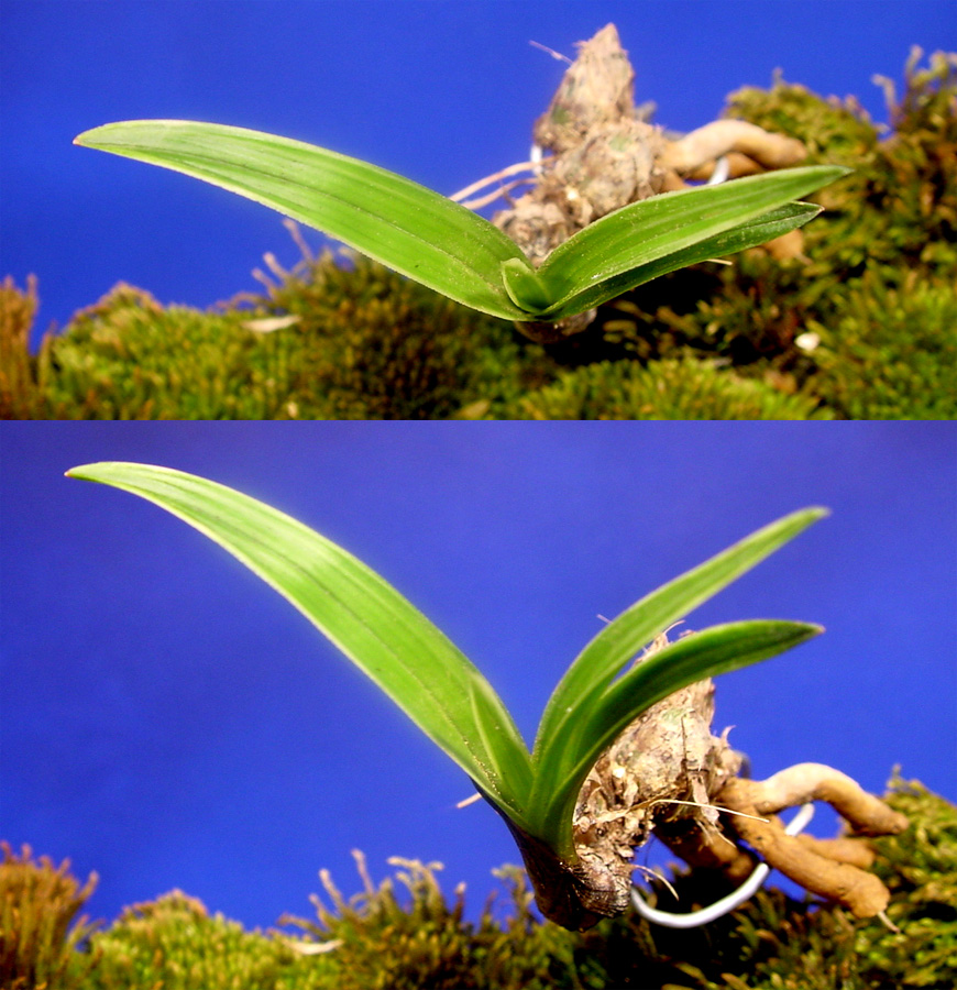 ������ ū������ �� �� �ֽ��ϴ�.