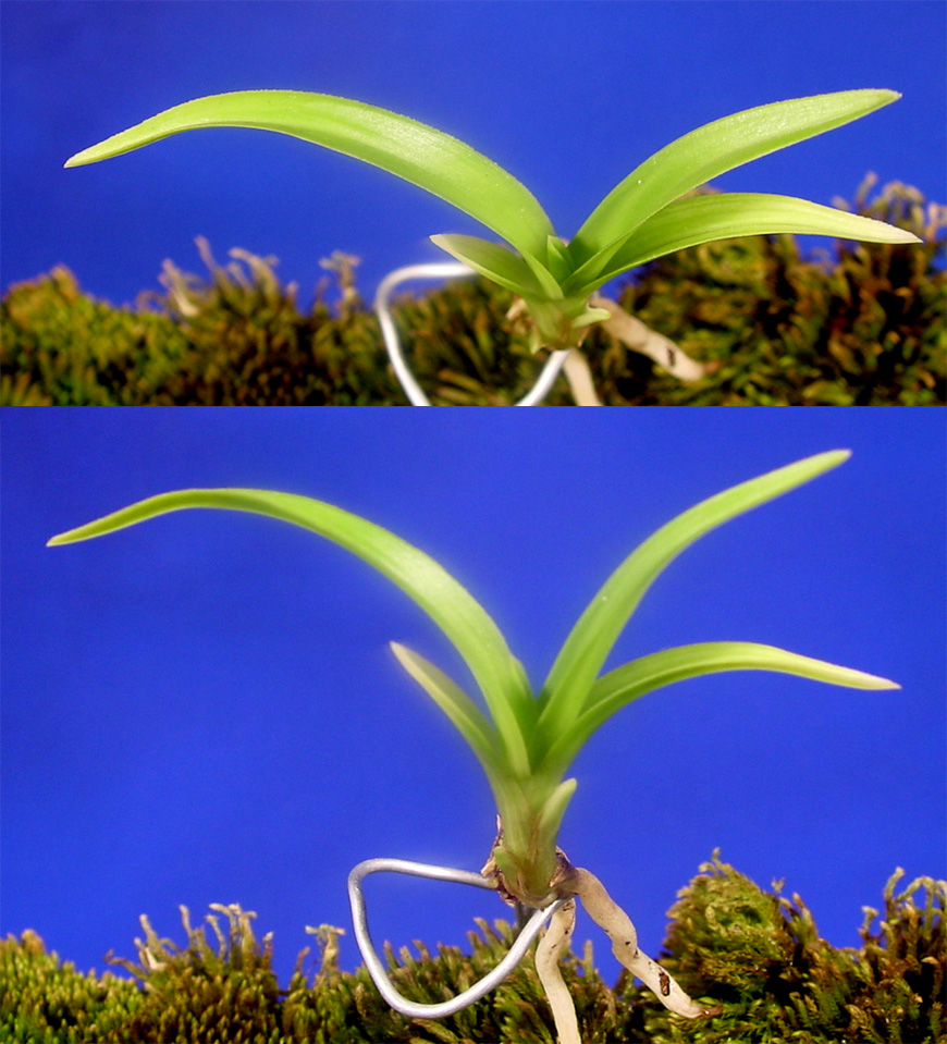 ������ ū������ �� �� �ֽ��ϴ�.