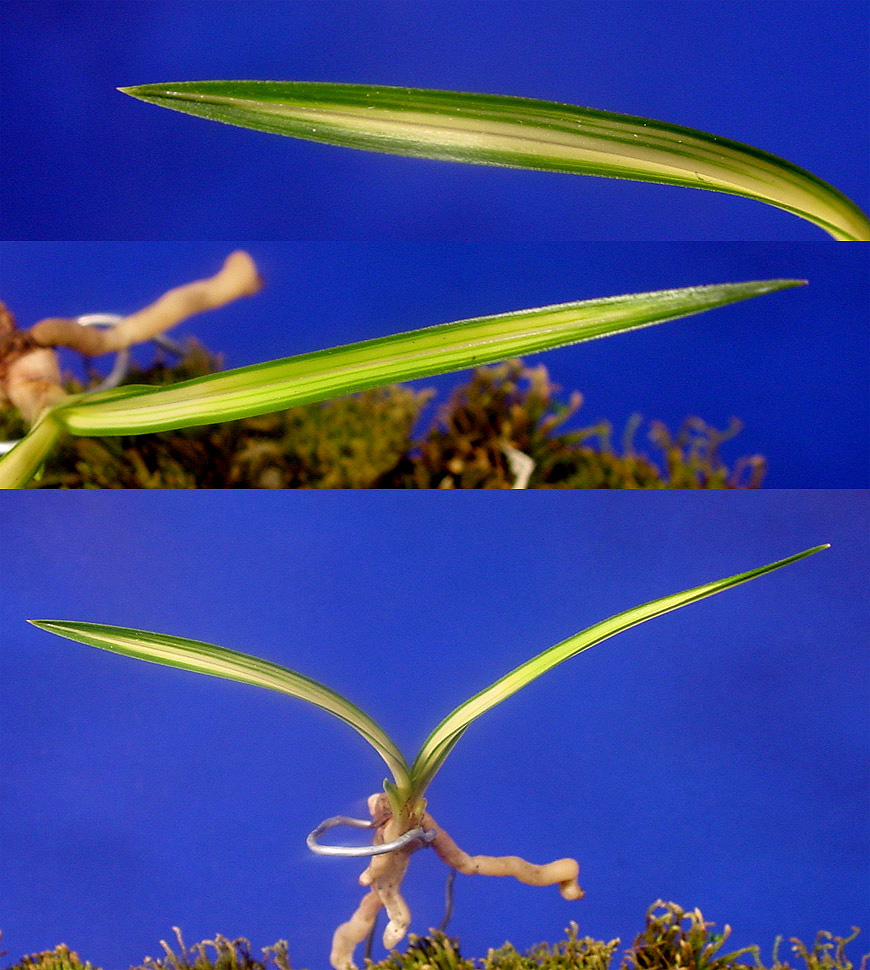 ������ ū������ �� �� �ֽ��ϴ�.