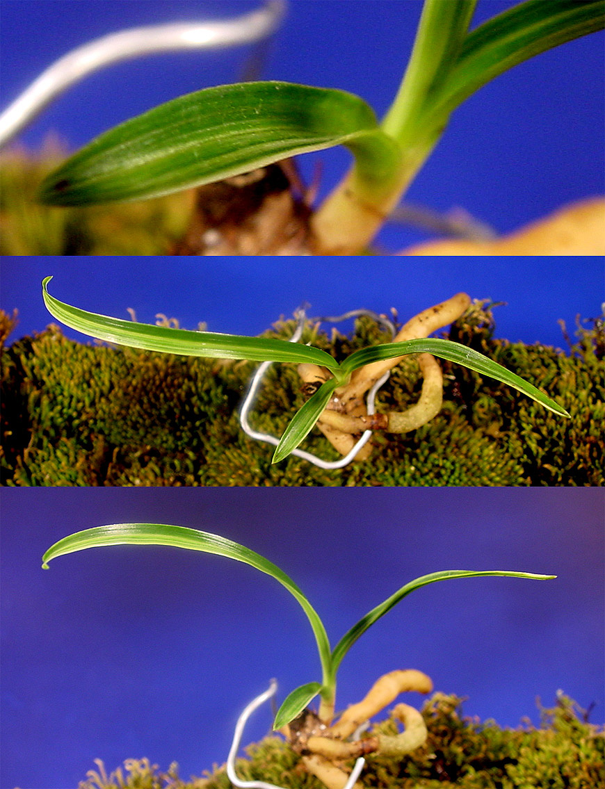 ������ ū������ �� �� �ֽ��ϴ�.