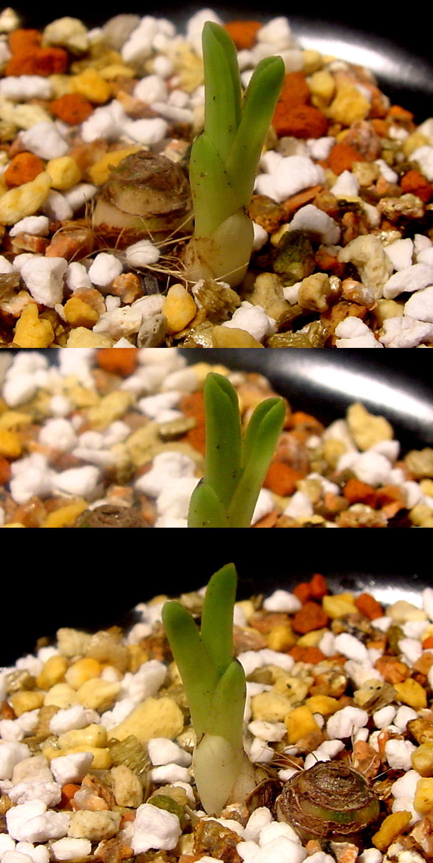 ������ ū������ �� �� �ֽ��ϴ�.