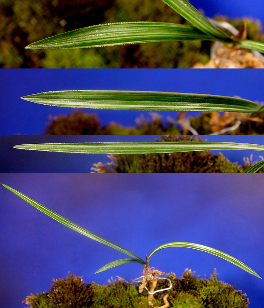 ������ ū������ �� �� �ֽ��ϴ�.