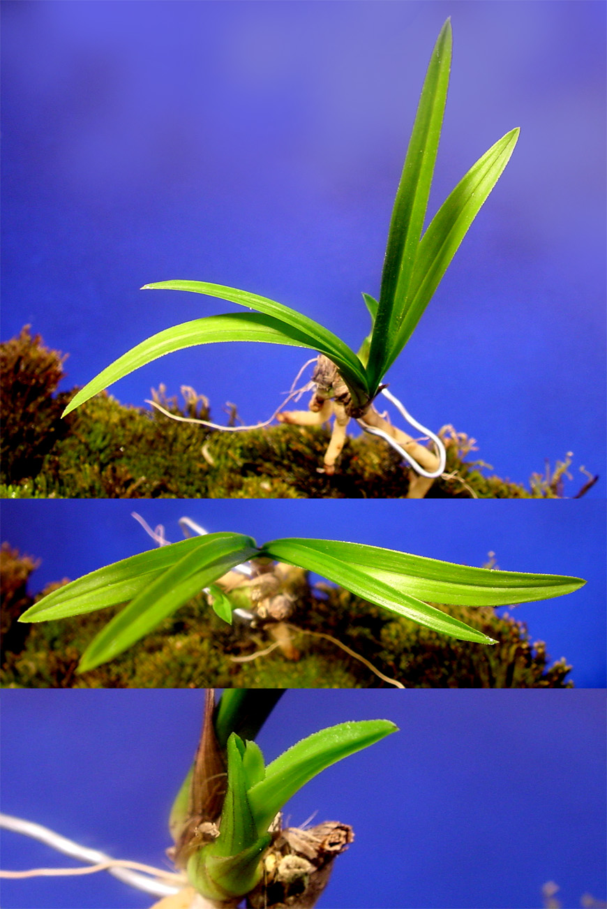 ������ ū������ �� �� �ֽ��ϴ�.