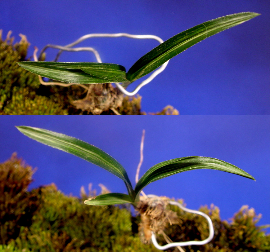 ������ ū������ �� �� �ֽ��ϴ�.