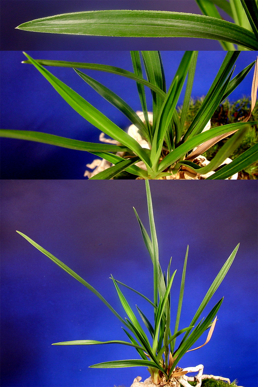 ������ ū������ �� �� �ֽ��ϴ�.