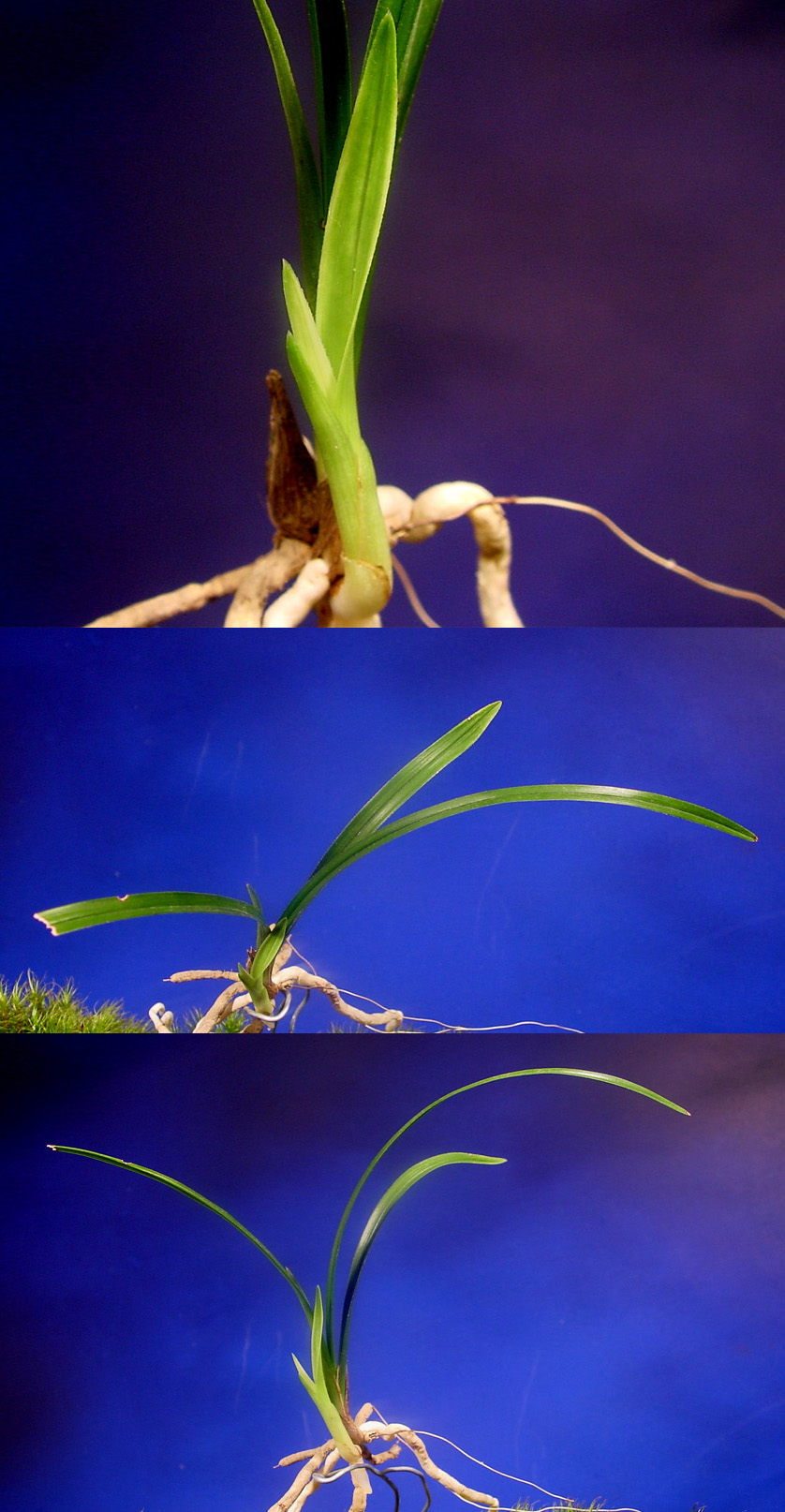 ������ ū������ �� �� �ֽ��ϴ�.