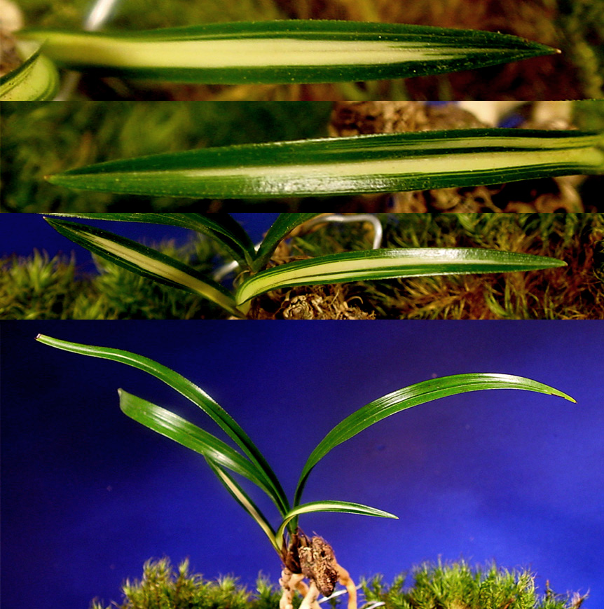 ������ ū������ �� �� �ֽ��ϴ�.