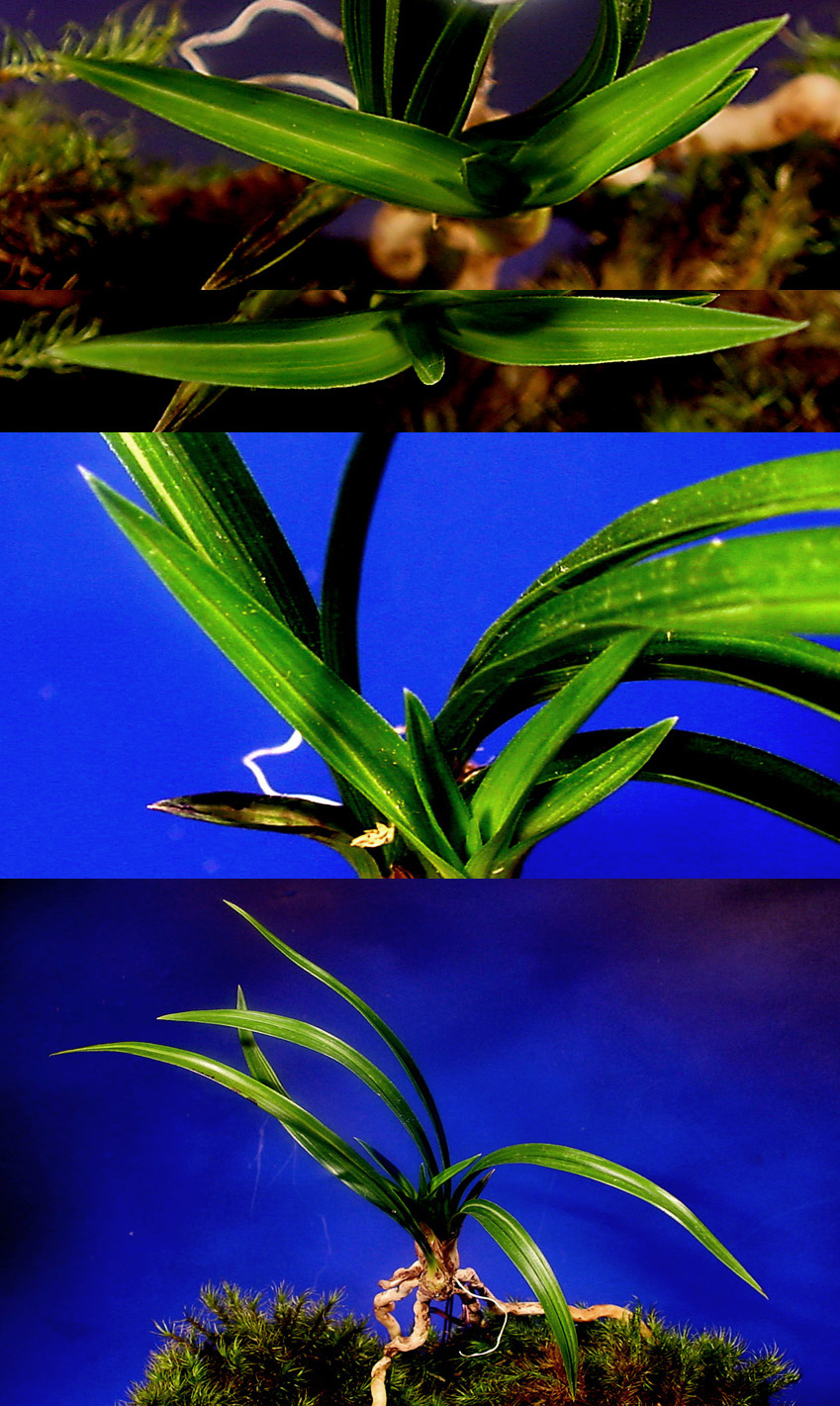 ������ ū������ �� �� �ֽ��ϴ�.