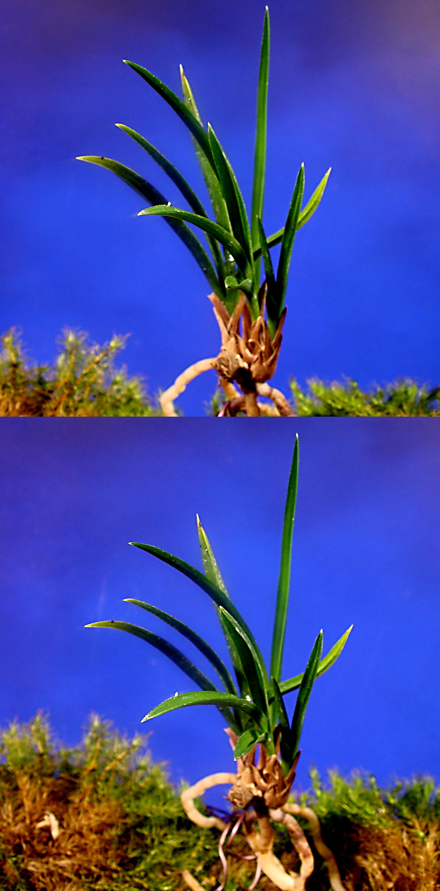 ������ ū������ �� �� �ֽ��ϴ�.